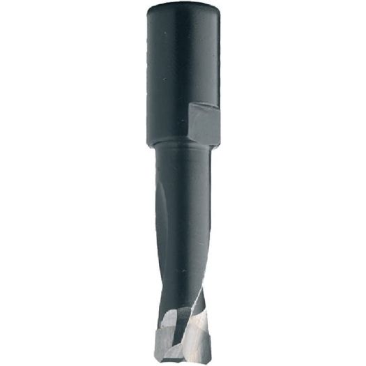 Router Bit For Domino Xl Joining, 8,Rght